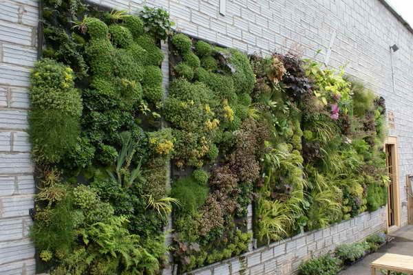 Vertical Gardens