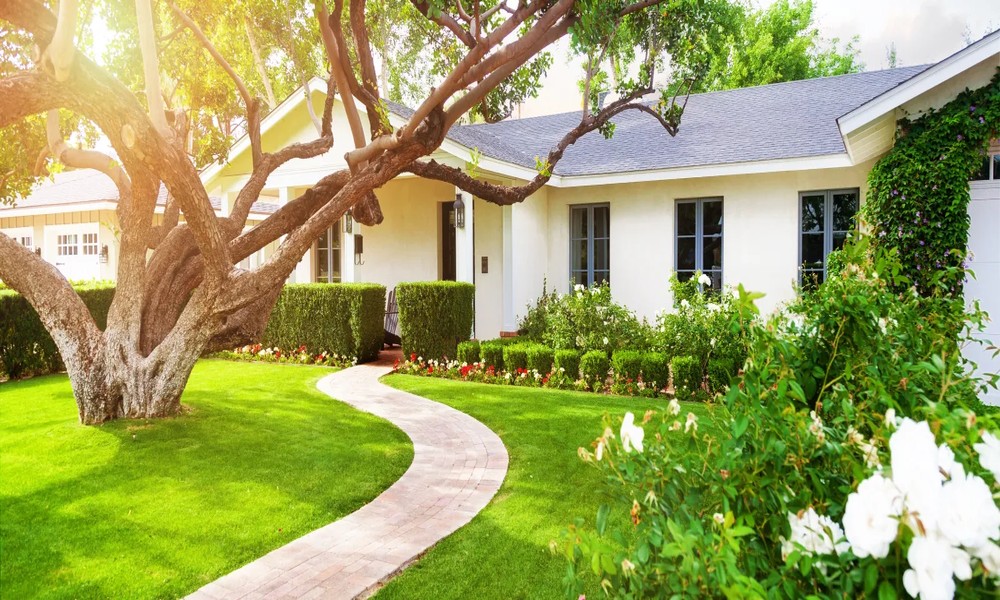 How Humid Midwest Summers Turn Glen Ellyn Homes Into Pest Havens