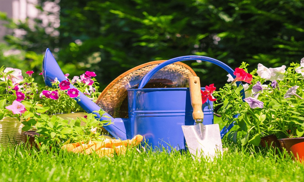 A Month-by-Month Calendar for Lawn Care in Newtown, CT